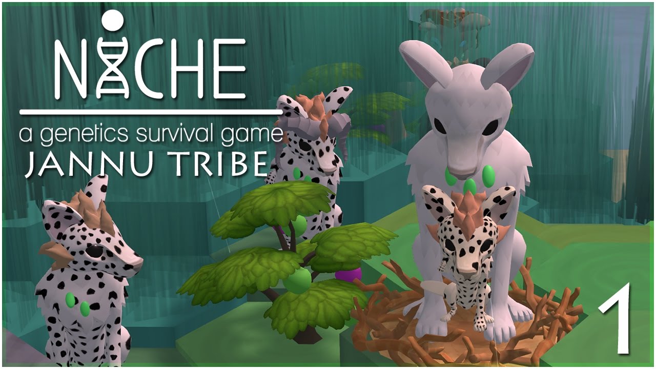 The Spotty Sons of the Jannu Tribe • Niche: Jannu Tribe - Episode #1