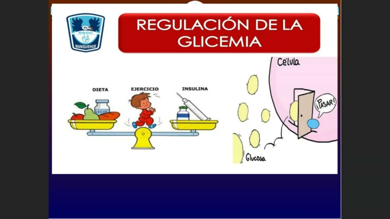 Fisiopatología - Diabetes Mellitus 1/1