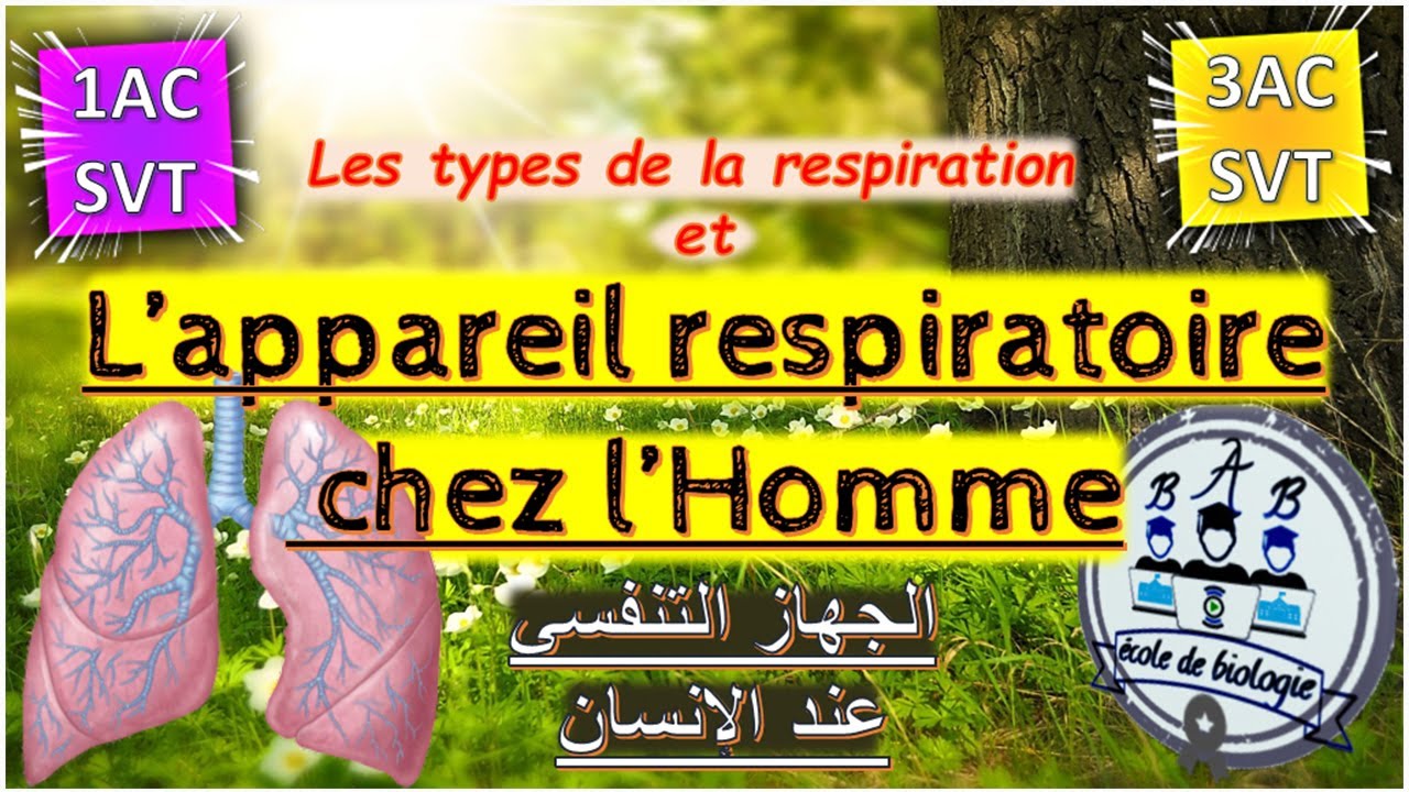 الجهاز التنفسي عند الإنسان / L'appareil respiratoire chez l'Homme