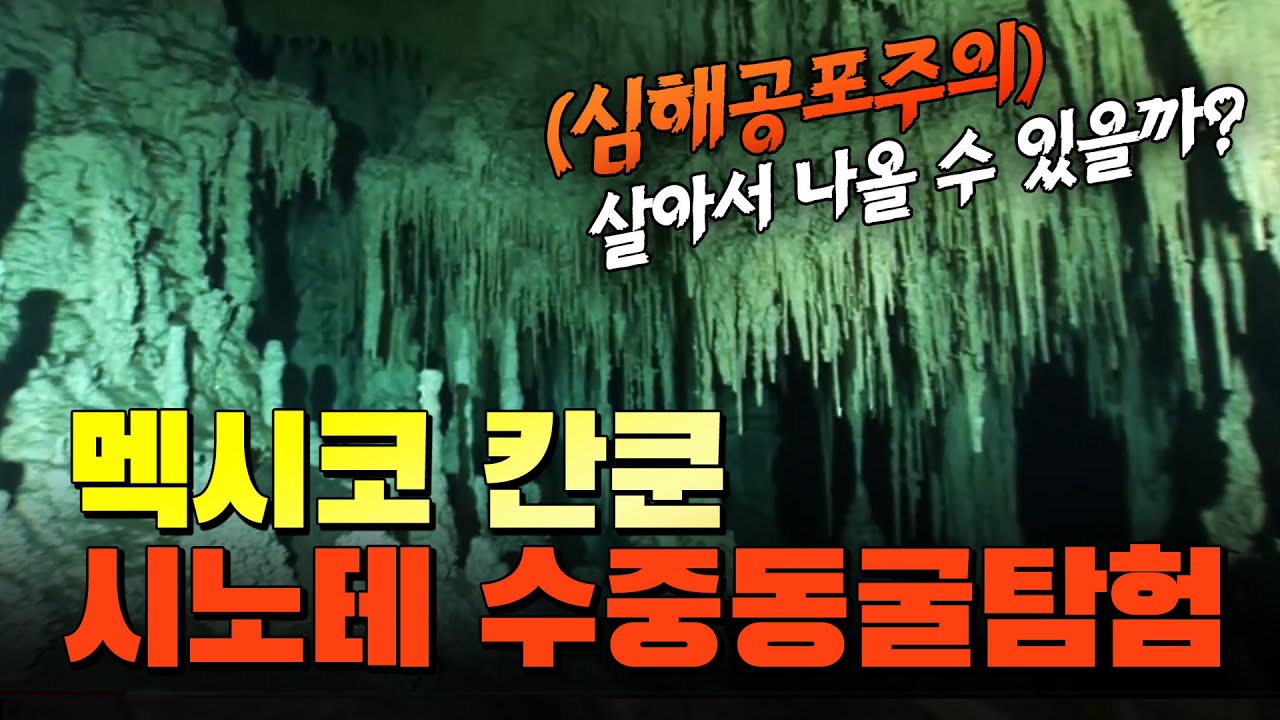 (※심해공포주의) 살아나올 수 있을까!? 멕시코 칸쿤 시노테 수중동굴탐험 #시노테#Cenote #Cancun