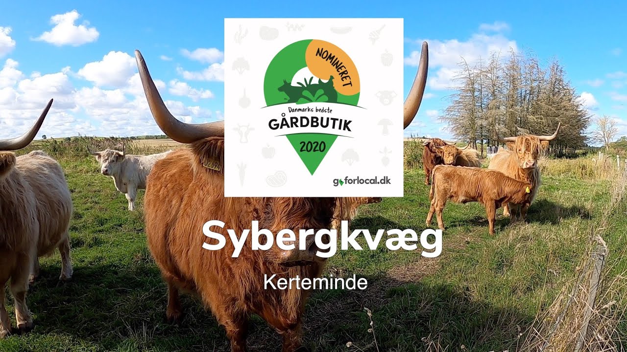 Sybergkvæg - lækkert kød fra glade køer