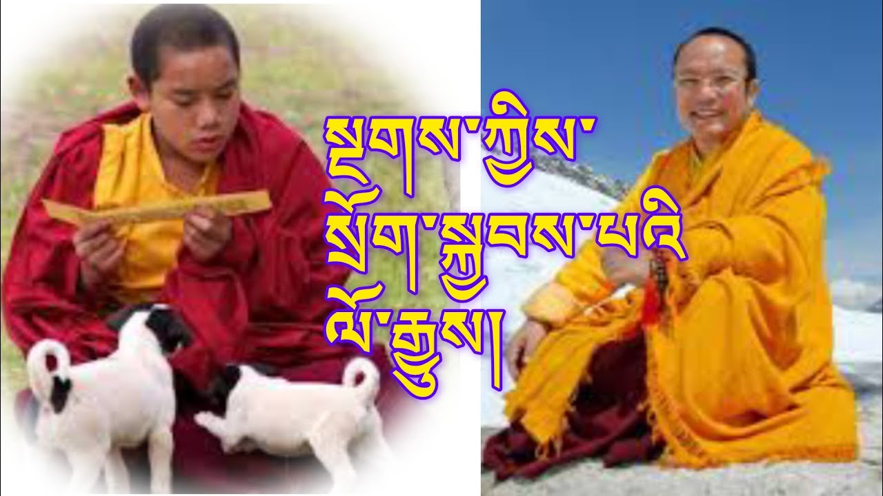 སྔགས་ཀྱིས་སྲོག་ངོ་མ་བསྐྱོབ་པའི་ལོ་རྒྱུས། Mantra protect Life @gesherab 