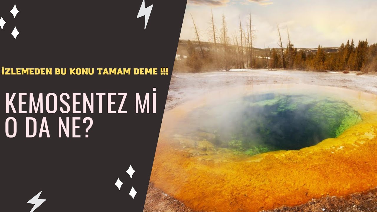AYT Biyoloji | Kemosentez Konu Anlatımı 2022 AYT TYT YKS