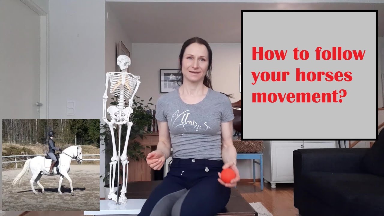 How to improve your seat and move with your horse!