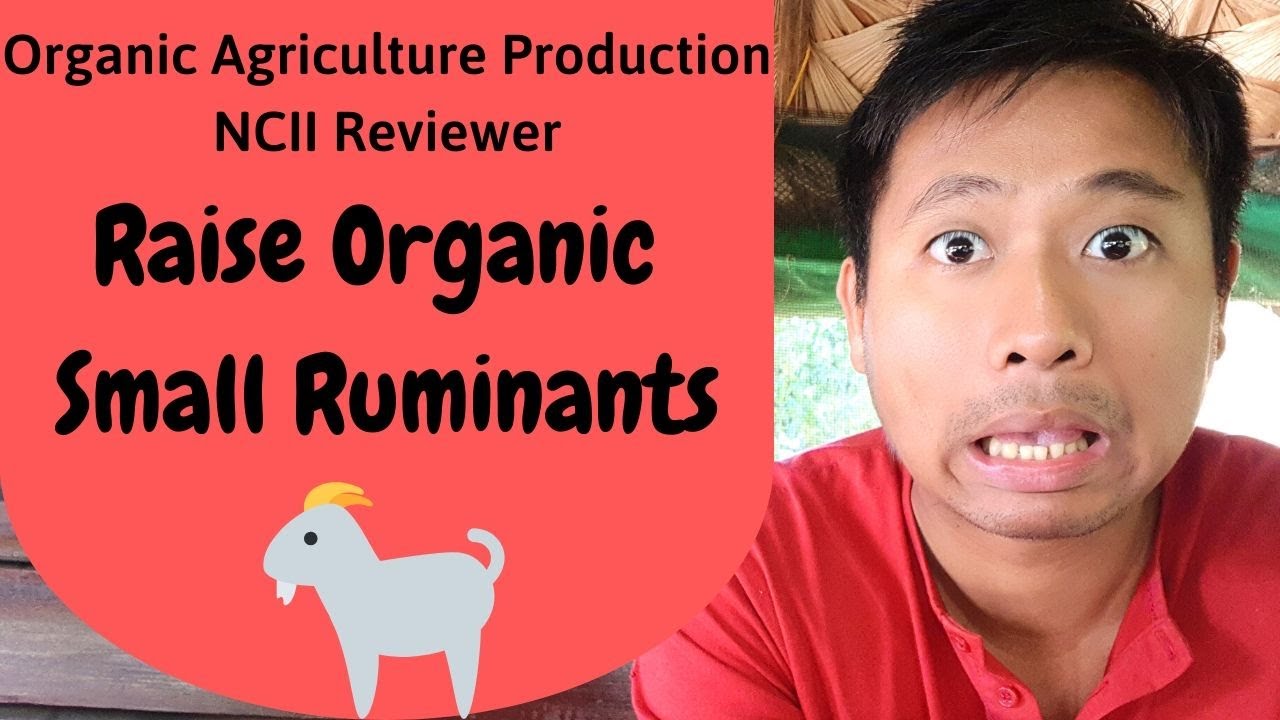 Organic Agriculture Production NCII Reviewer: Raise Organic Small Ruminants (OAP NCII reviewer)