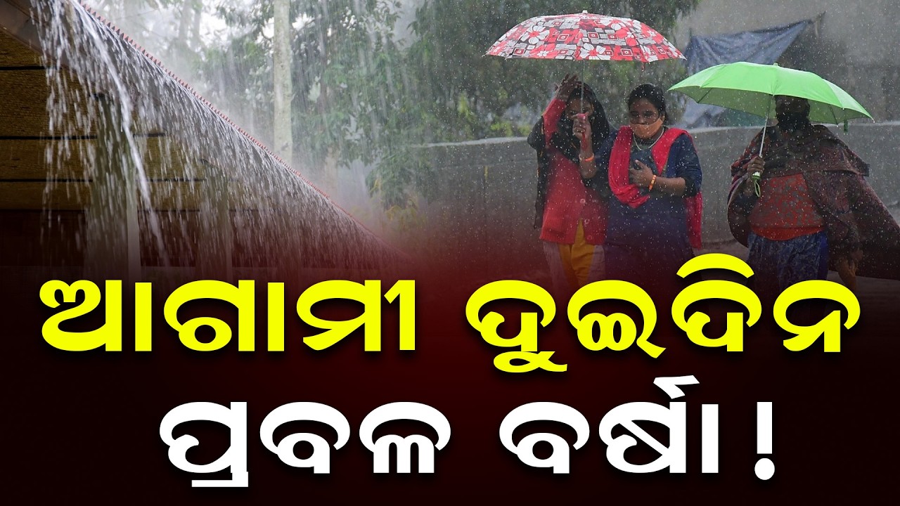 ଆଗାମୀ ଦୁଇଦିନ ପ୍ରବଳ ବର୍ଷା! || Weather || Rain Updates || DinalipiLive
