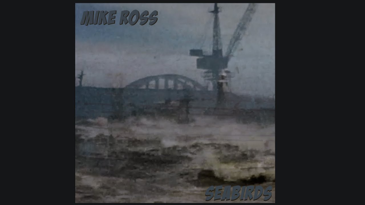 Mike Ross - Seabirds (Official Music Video)