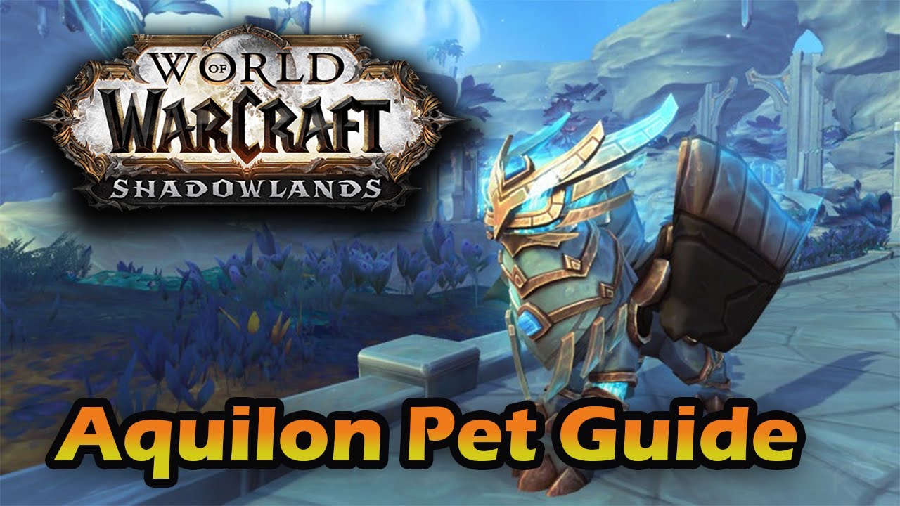So holst du dir das Aquilon Pet! | WoW Patch 9.1 J&auml;ger Guide