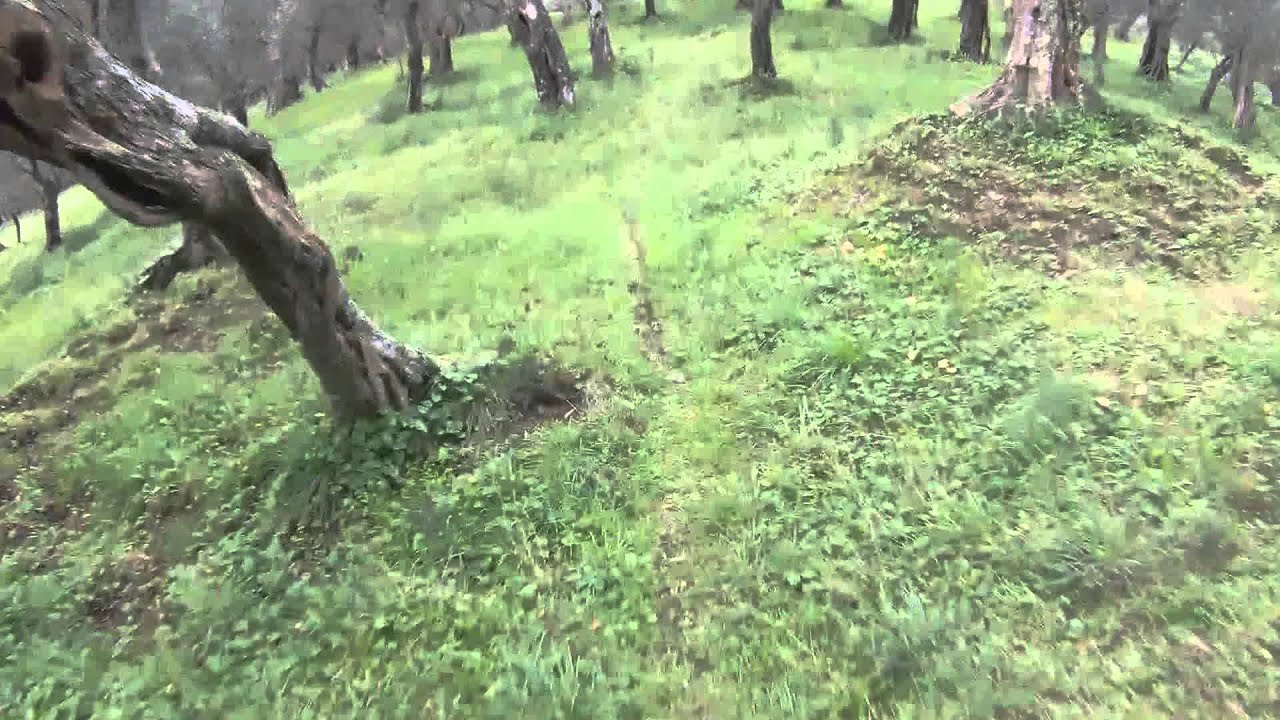 Video Cam Sentiero Schiantatope e Piane Massarosa Conad