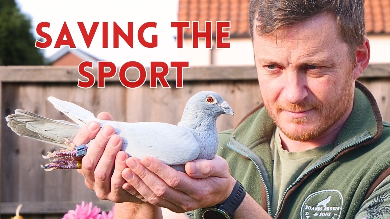 Когда модник дает отпор (Эпизод 109)