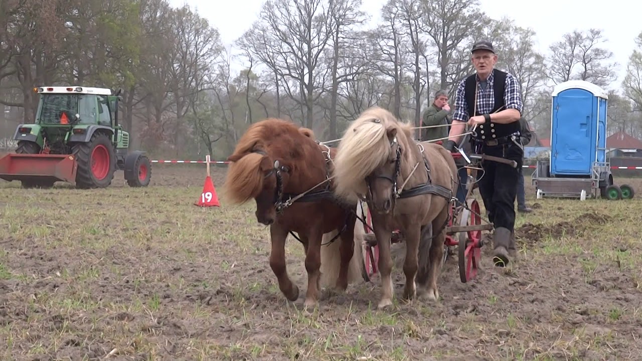 Ploegdag Hoeve Groot Zandbrink te Leusden 2019