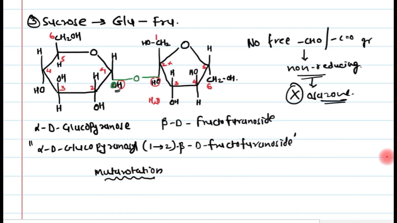 14. Disaccharides