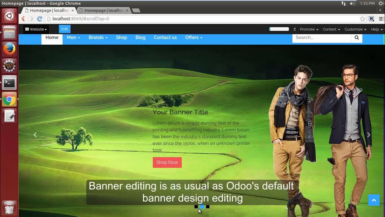 Odoo Theme Customization - 73Lines
