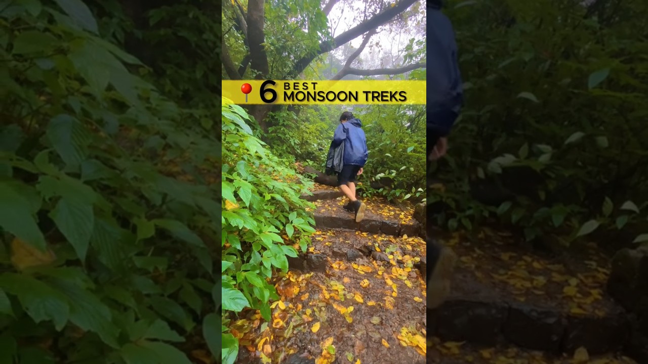 Here are some of the best monsoon treks with easy to moderate difficulty levels, must visit treks