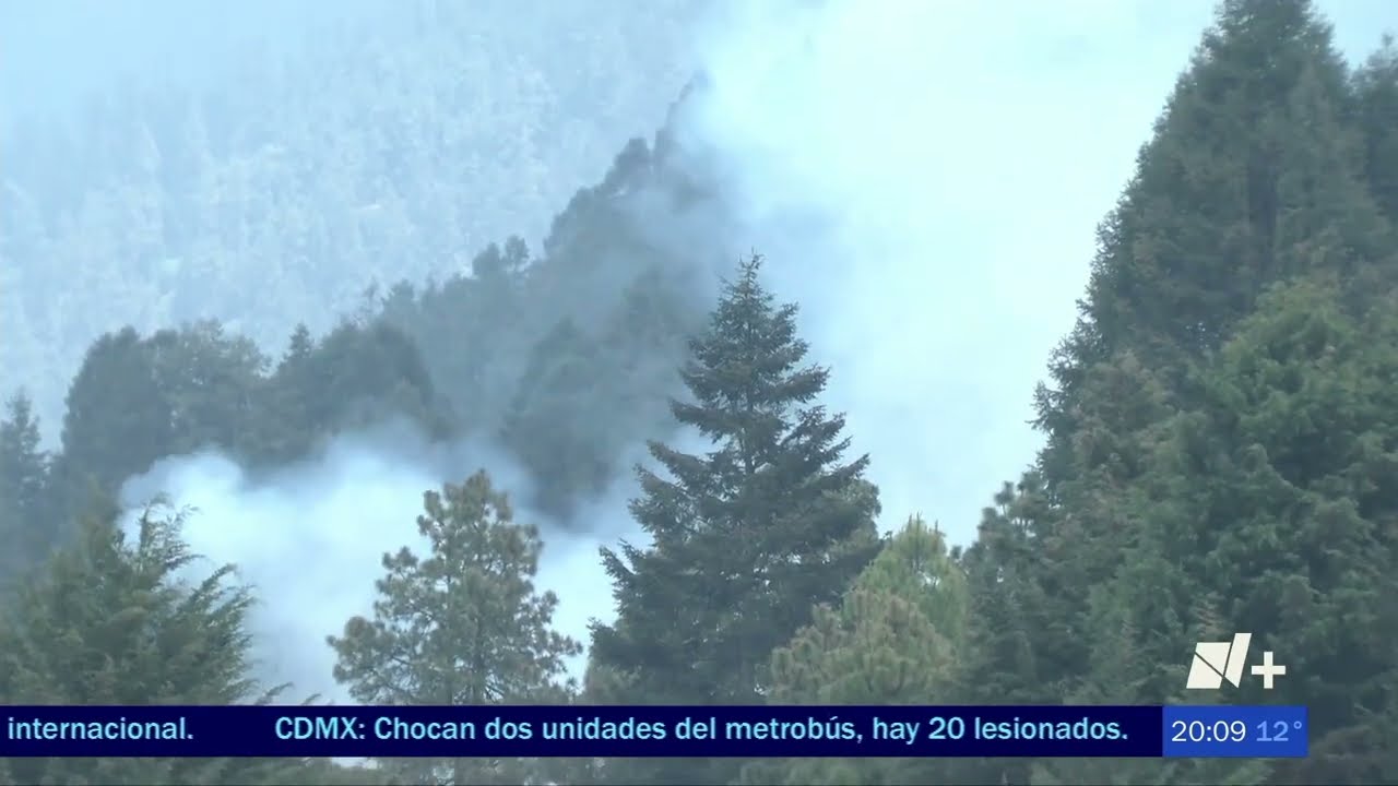 Incendios forestales en Edomex. (German Zepeda)