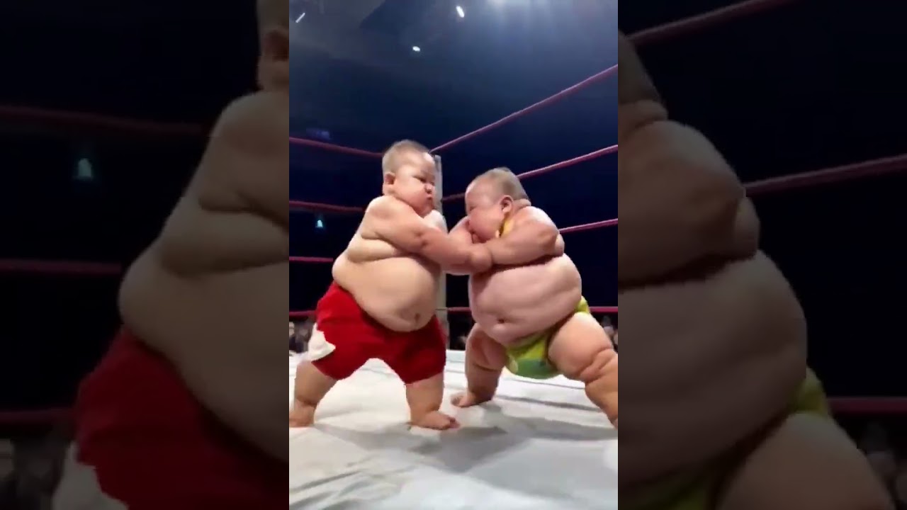 Junior Sumo Wrestling - #shorts #youtubeshorts #Sumo