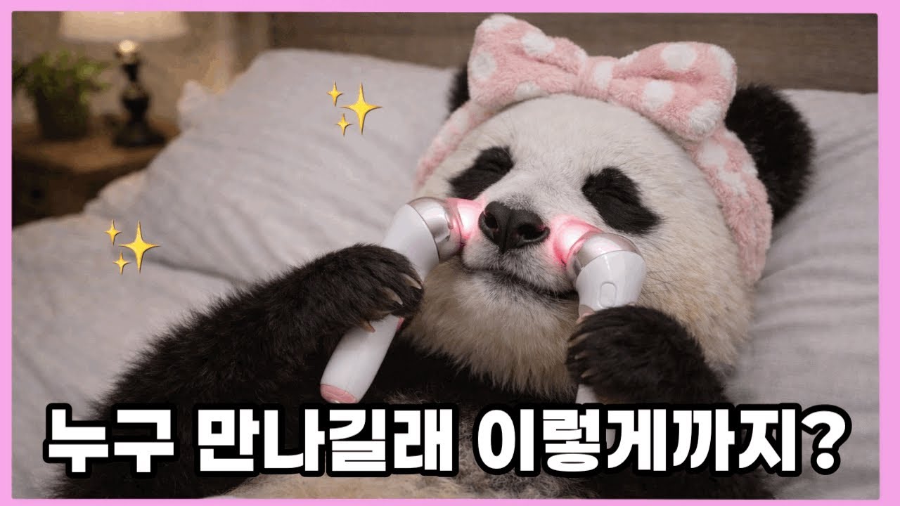 444. 나 푸바오 이 날을 위해서 관리함.