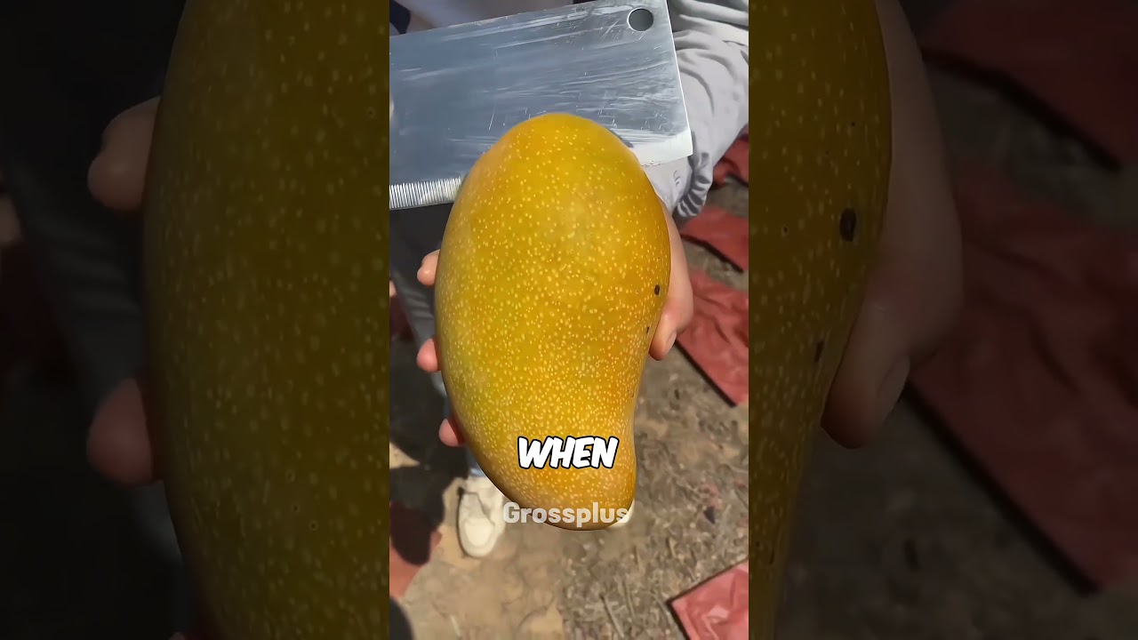 Mango farming in china #shorts #science