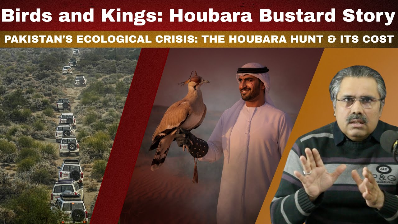 The Bird That Buys Friends: Pakistan’s Houbara Diplomacy