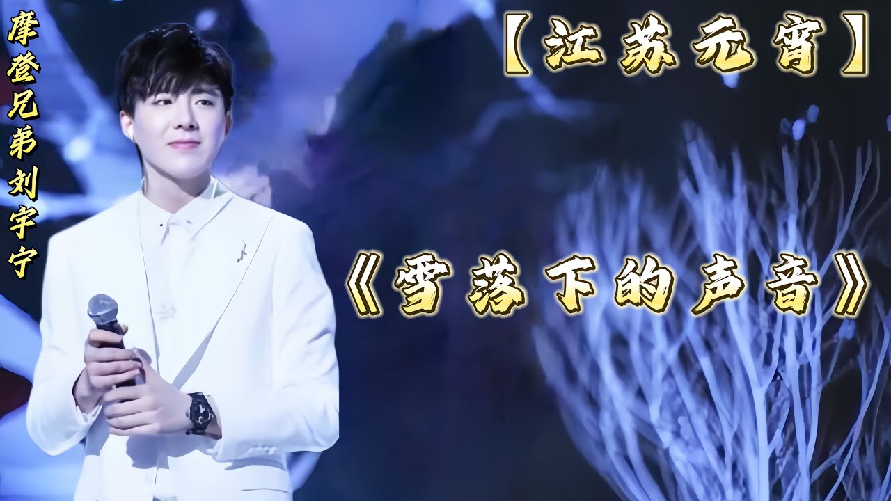 摩登兄弟刘宇宁-雪落下的声音（《2019江苏卫视》元宵荔枝灯会）