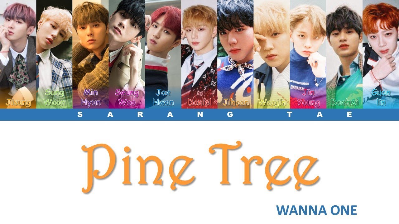 WANNA ONE (워너원) - 'Pine Tree' Lyrics [Color Coded_Han_Rom_Eng]