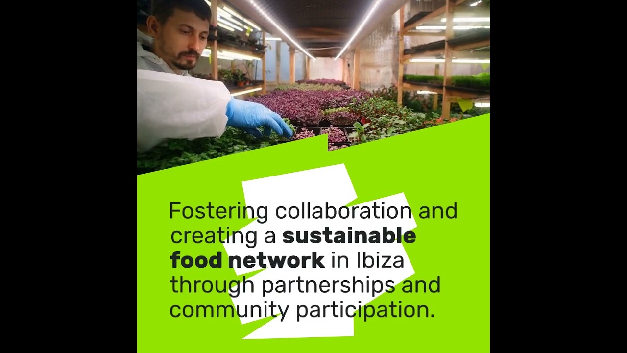 Starting an Organic Sustainable Microgreens Farm in Ibiza with Gourmet Mushroom Production