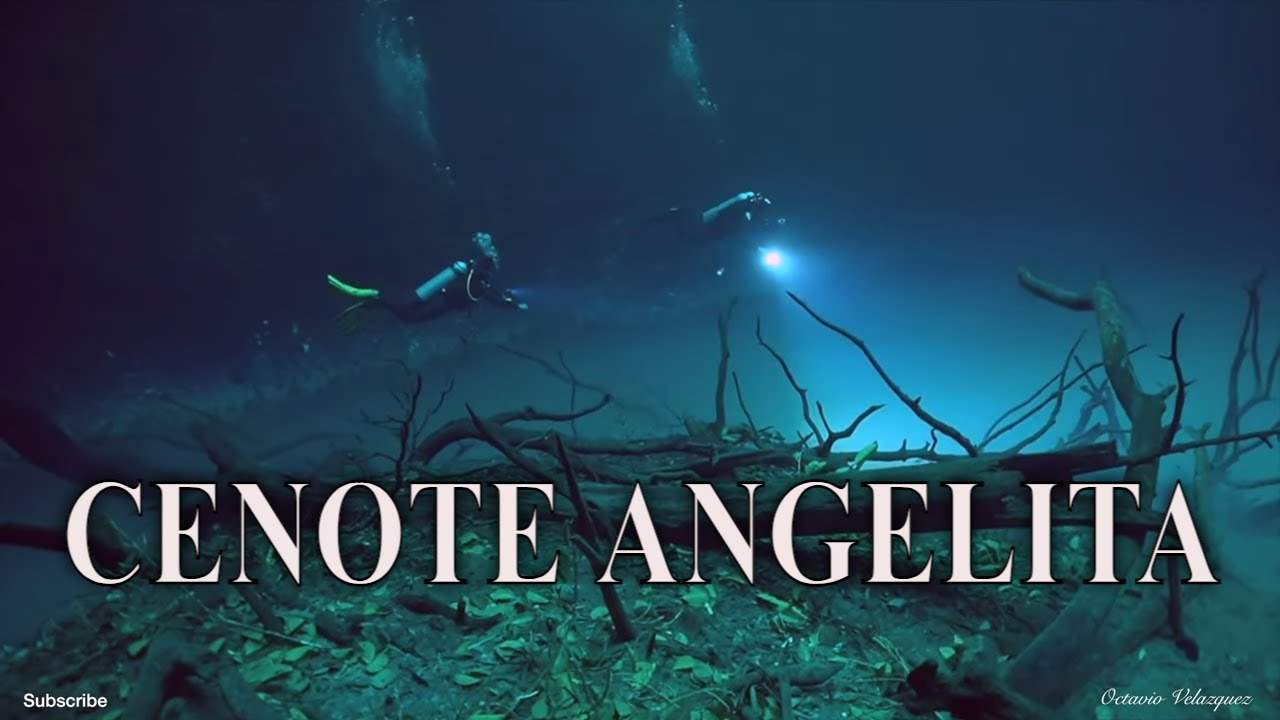 Cenote Angelita | Diving The Underwater River