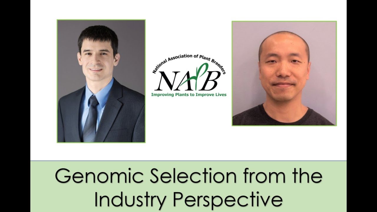 Genomic Selection: an Industry Perspective; David Habier, Hsiao-Yi Hung