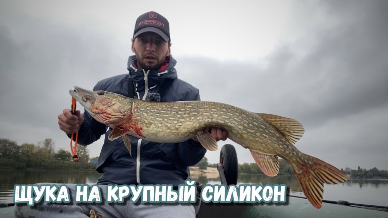 Трофейная щука на крупные приманки | Осенняя рыбалка | Ловля щуки на крупный силикон
