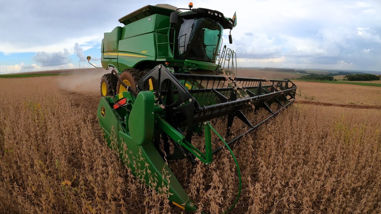 A soja do vizinho que com custo baixo colhe mais que muita gente