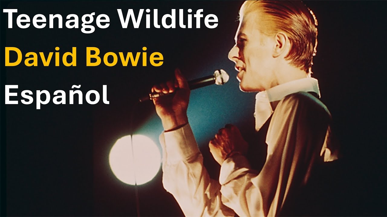 David Bowie - Teenage Wildlife (4K) (subtítulos español)