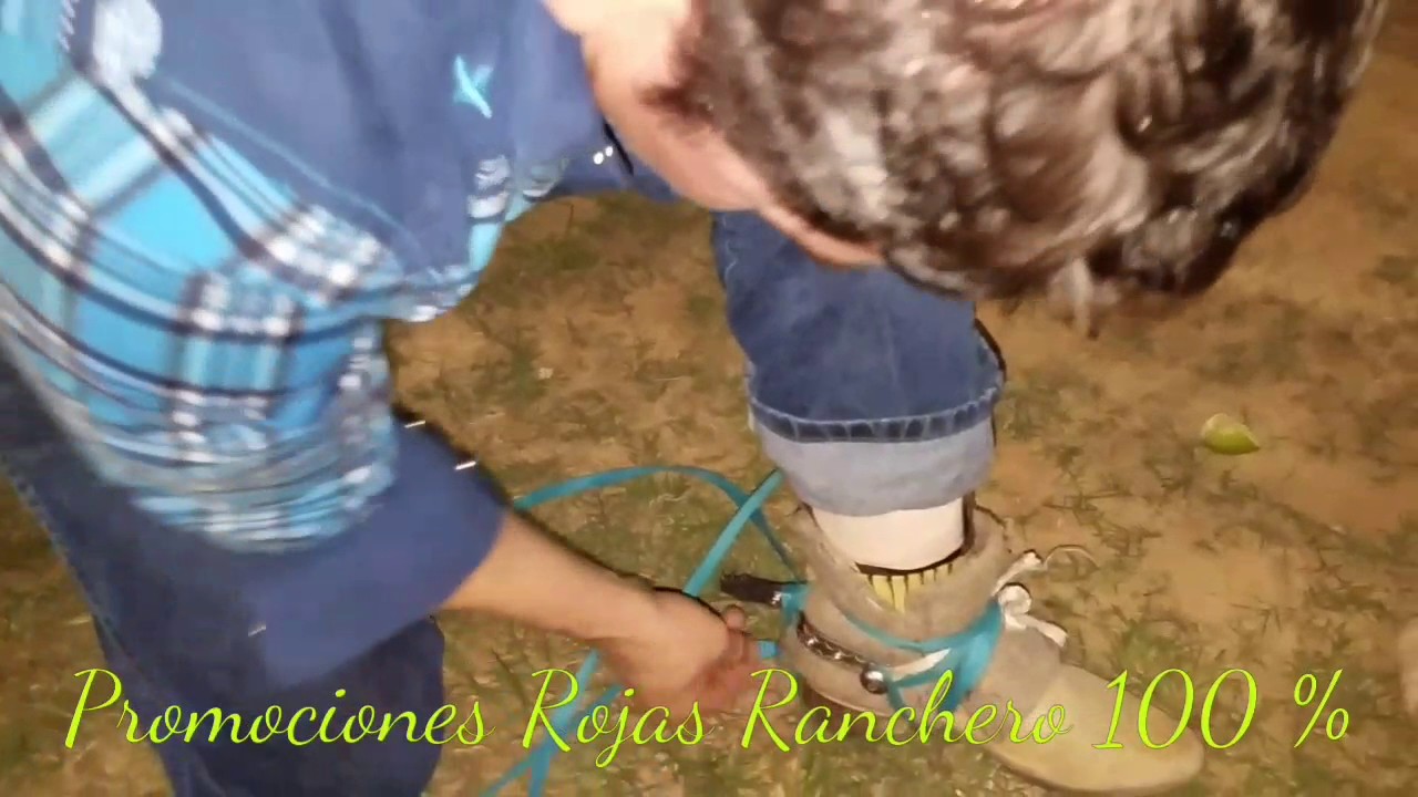 Asi se prepara un jinete antes de montar