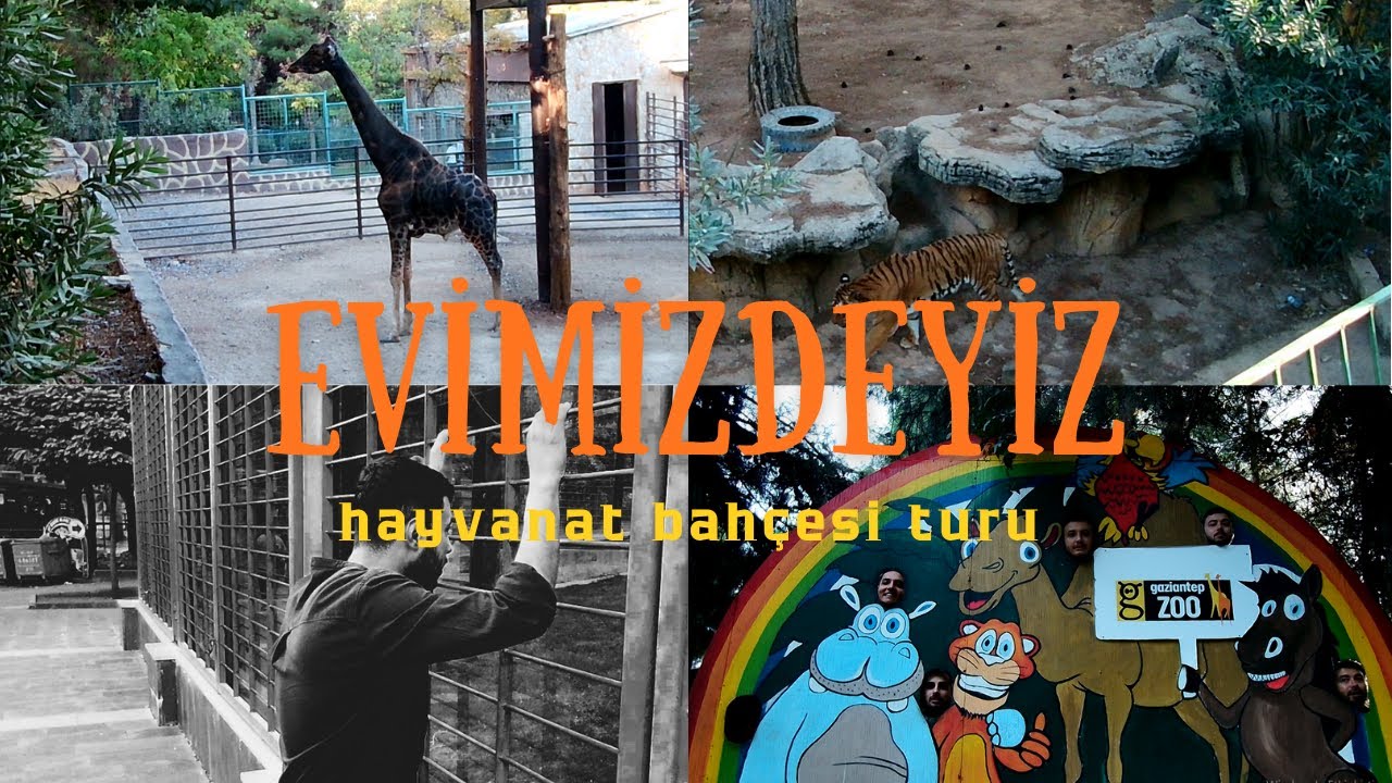 Gaziantep Hayvanat Bahçesi Turu