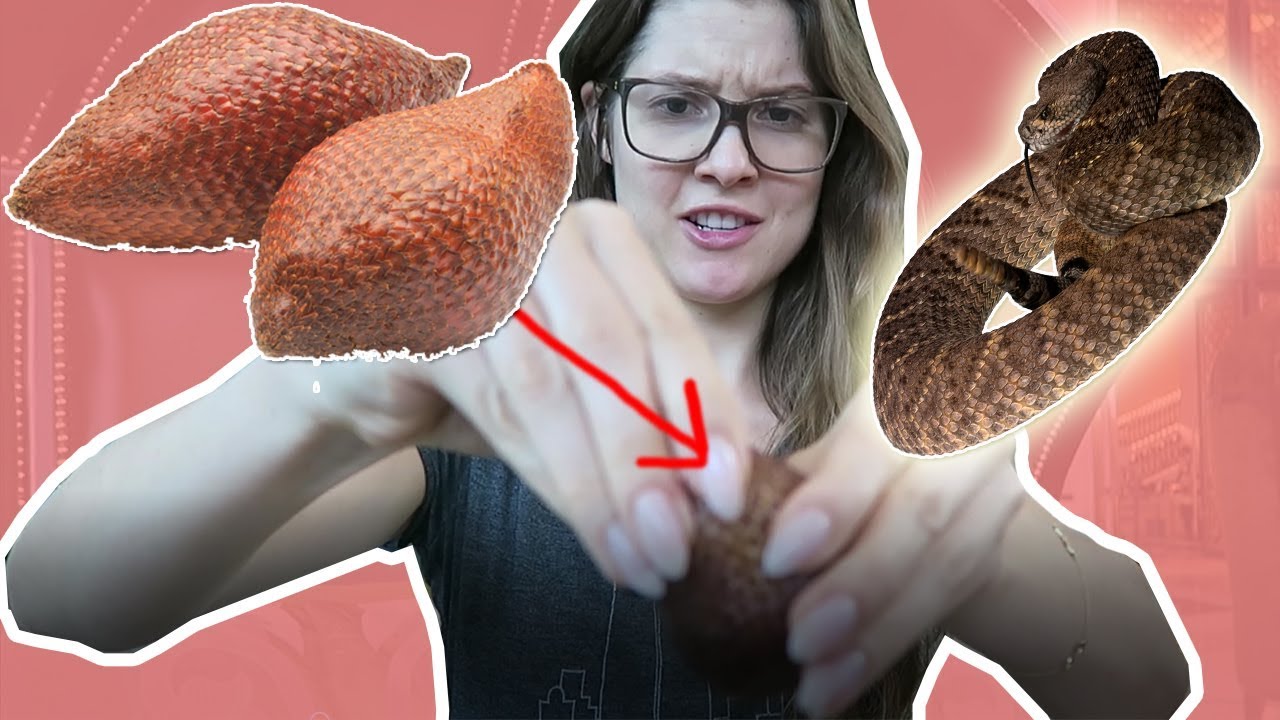 I ATE SNAKE EGGS...? (JAKARTA TRIP) | Amanda Cerny