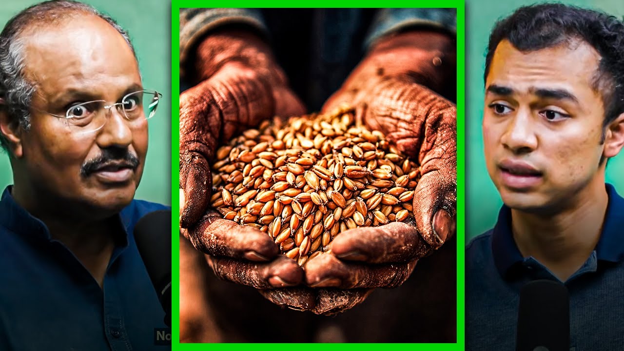 Ancient Wheat Is Back: How Sona Moti Gave Farmers 3X More Income