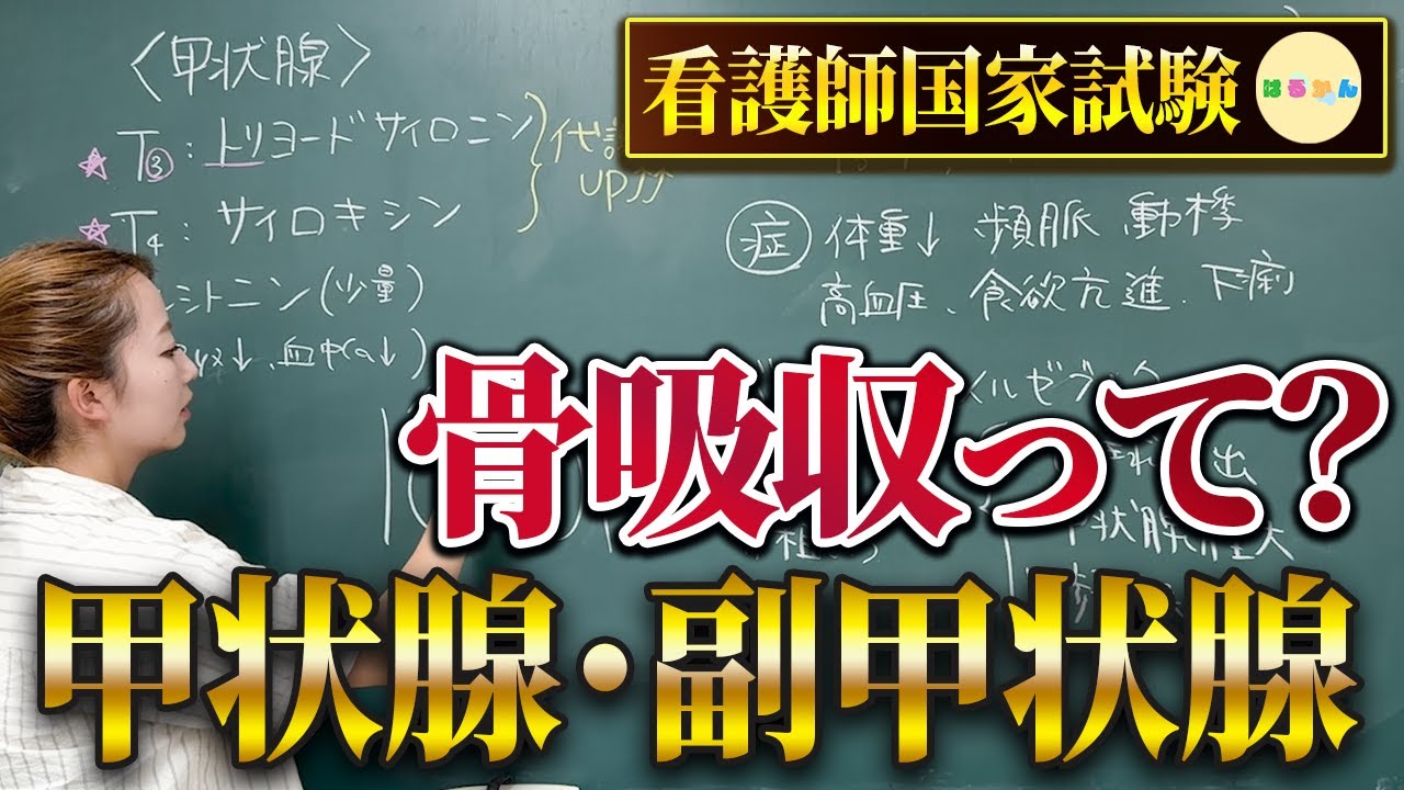 骨吸収って何？甲状腺から出るホルモン3つは【看護師国家試験】