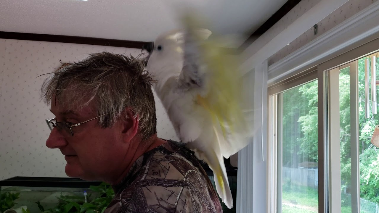 Onni and Daddy // Get A Room!
