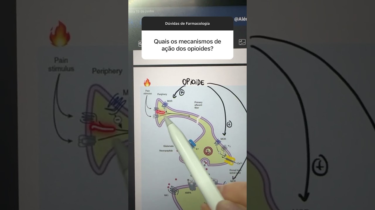 Mecanismo de ação dos opioides
