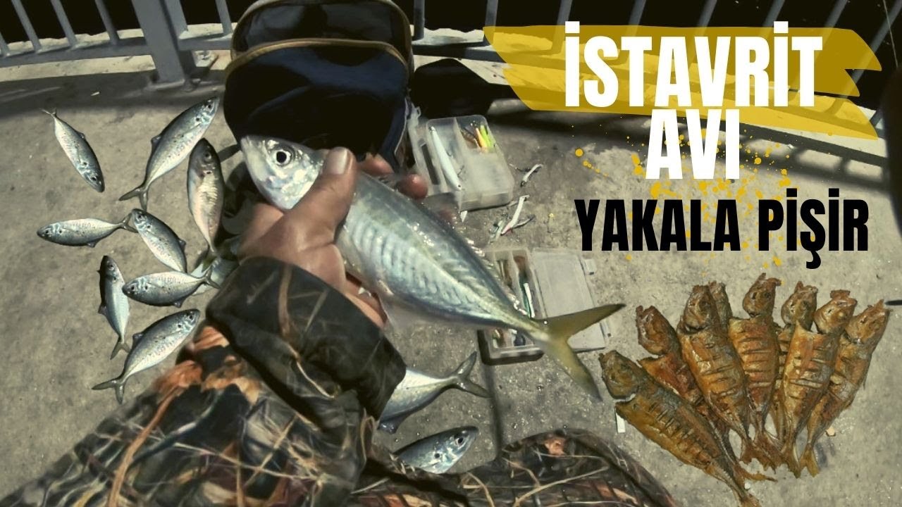 Sabah Suyu İstavrit Avı Mersin Akdeniz Yakala Pişir