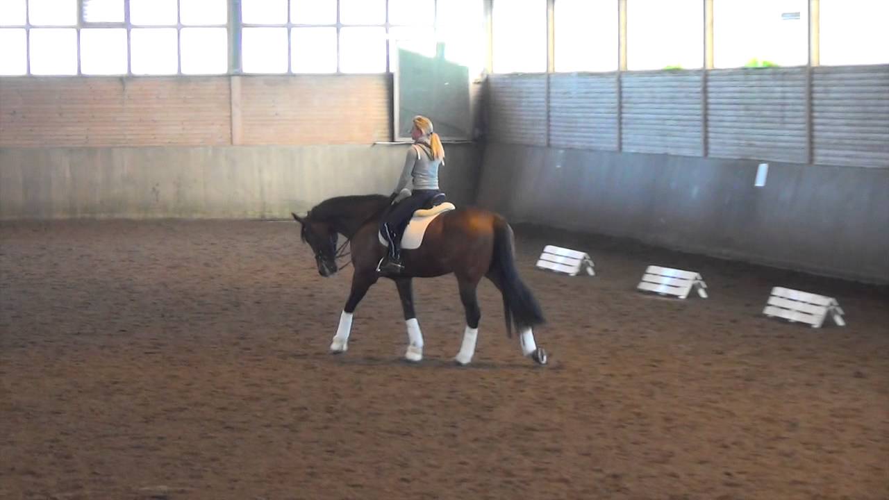 Natalie & Zorento Freestyle