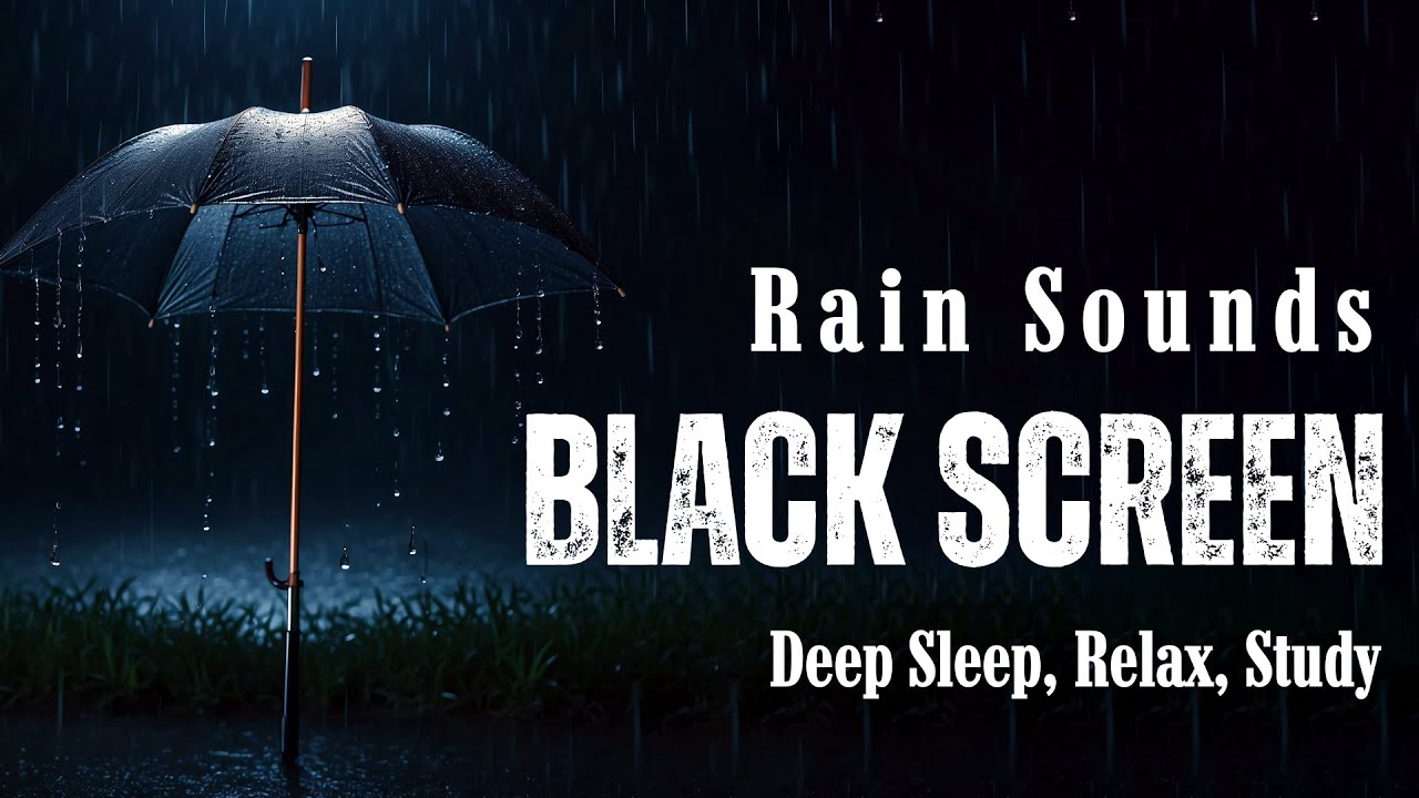 Rain Sounds on Black Screen 🌧️ Soft Thunder for Sleep & Focus