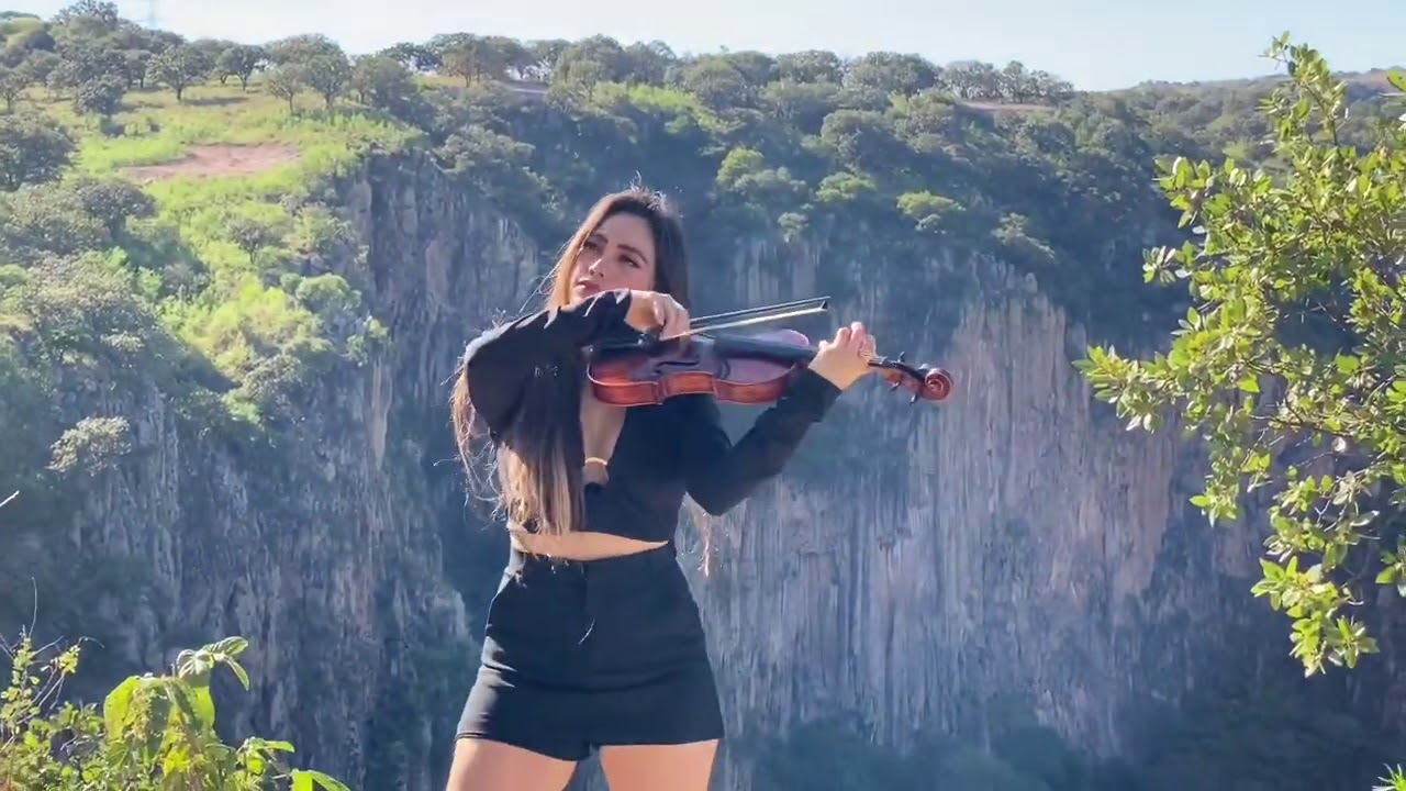 Hermosa cancion 🌹🌹🌹🌹🌹COCO /RECUERDAME/ remember me violín Cover