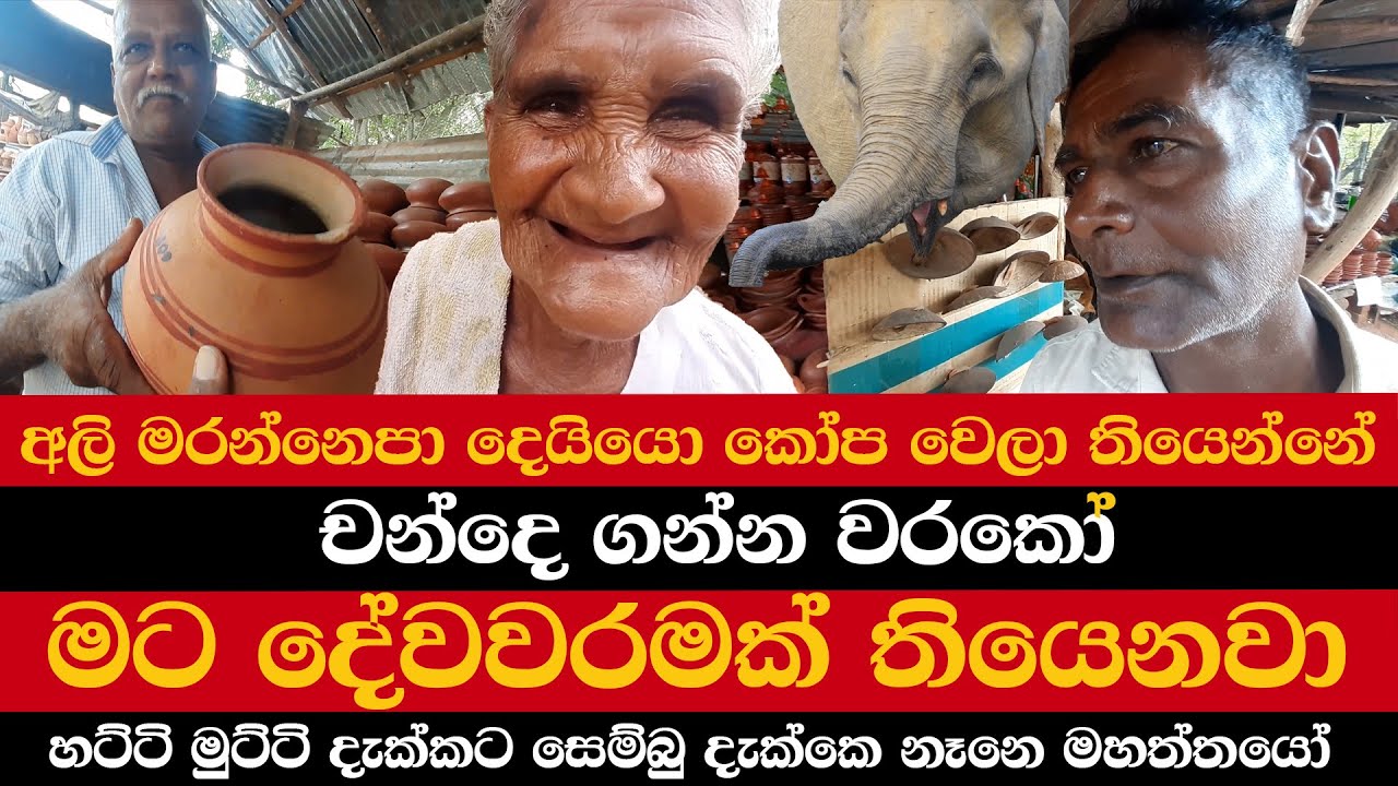අලි මරන්නෙපා දෙයියො කෝප වෙලා තියෙන්නේ | චන්දෙ ගන්න වරකෝ | මට දේවවරමක් තියෙනවා