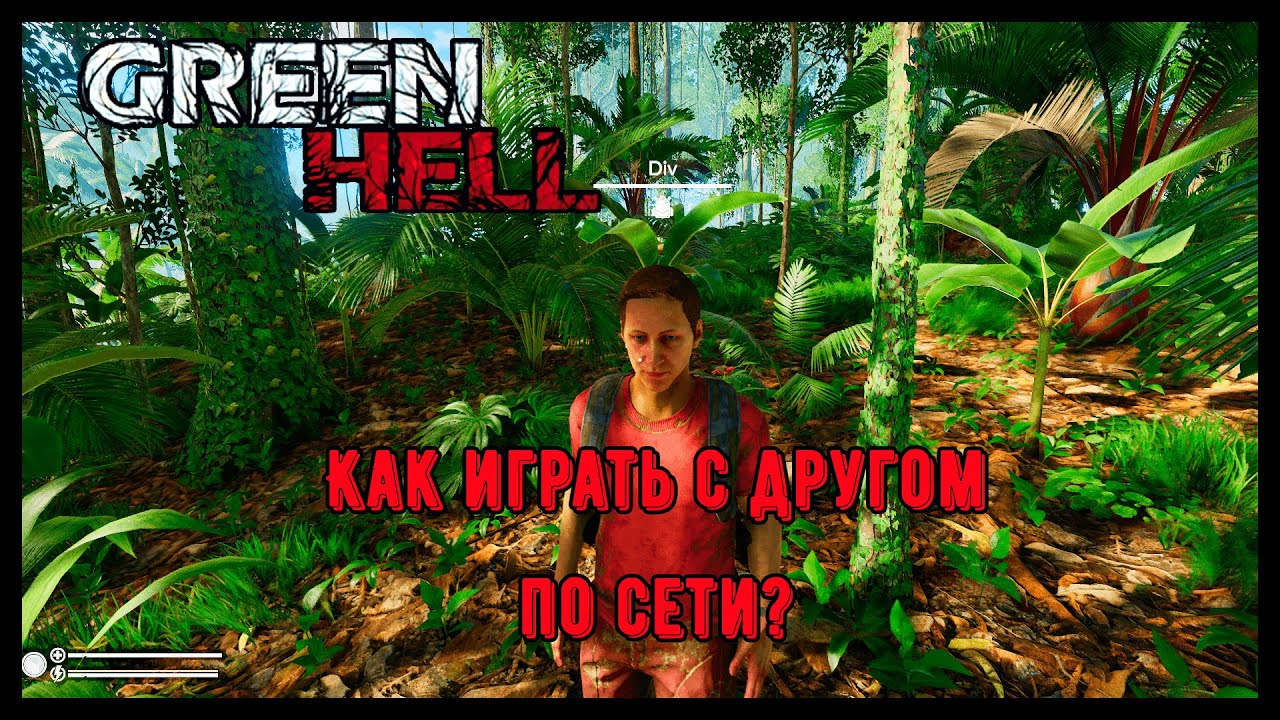 Как играть с другом по сети в Green Hell ???