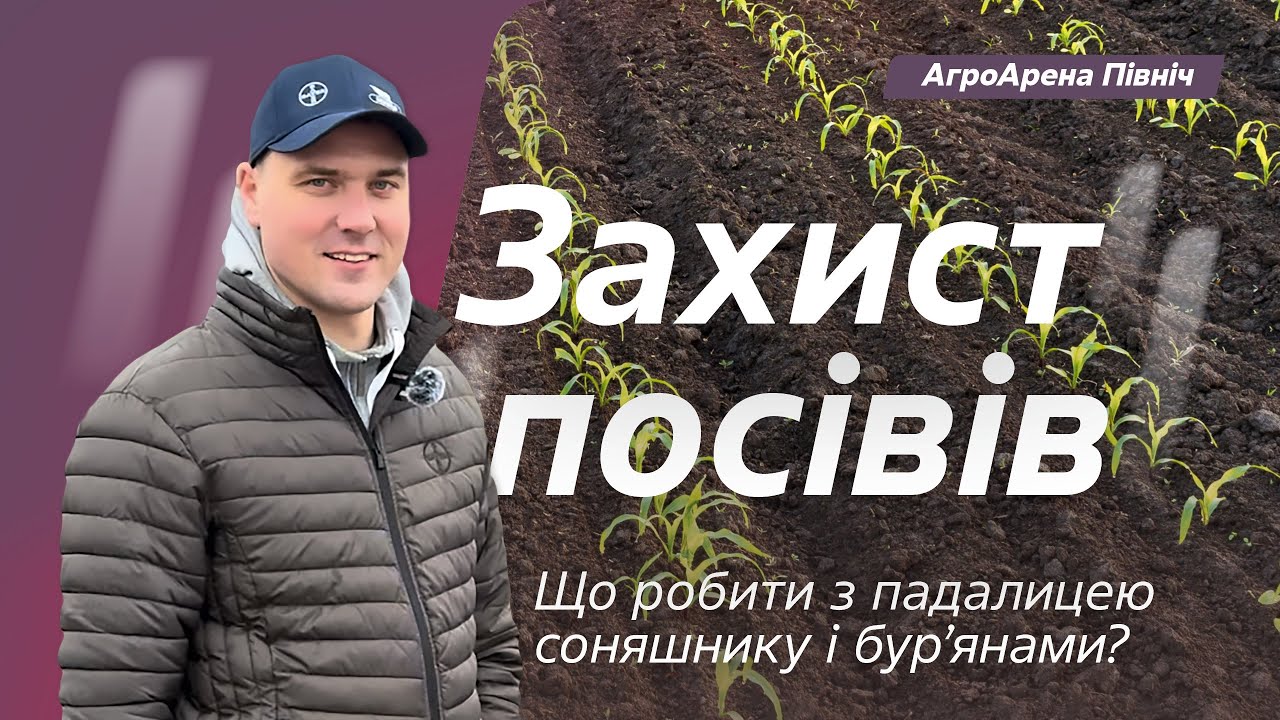 Захист посівів. Що робити з падалицею соняшнику і бурʼянами? // Життя Байєр АгроАрен