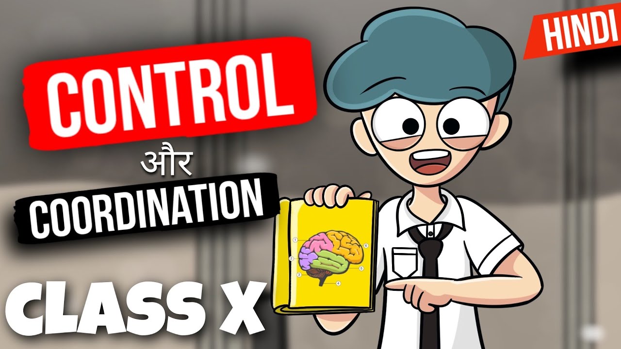Control and Coordination Class 10 ( Animation ) in One Shot | Class 10 Control and Coordination