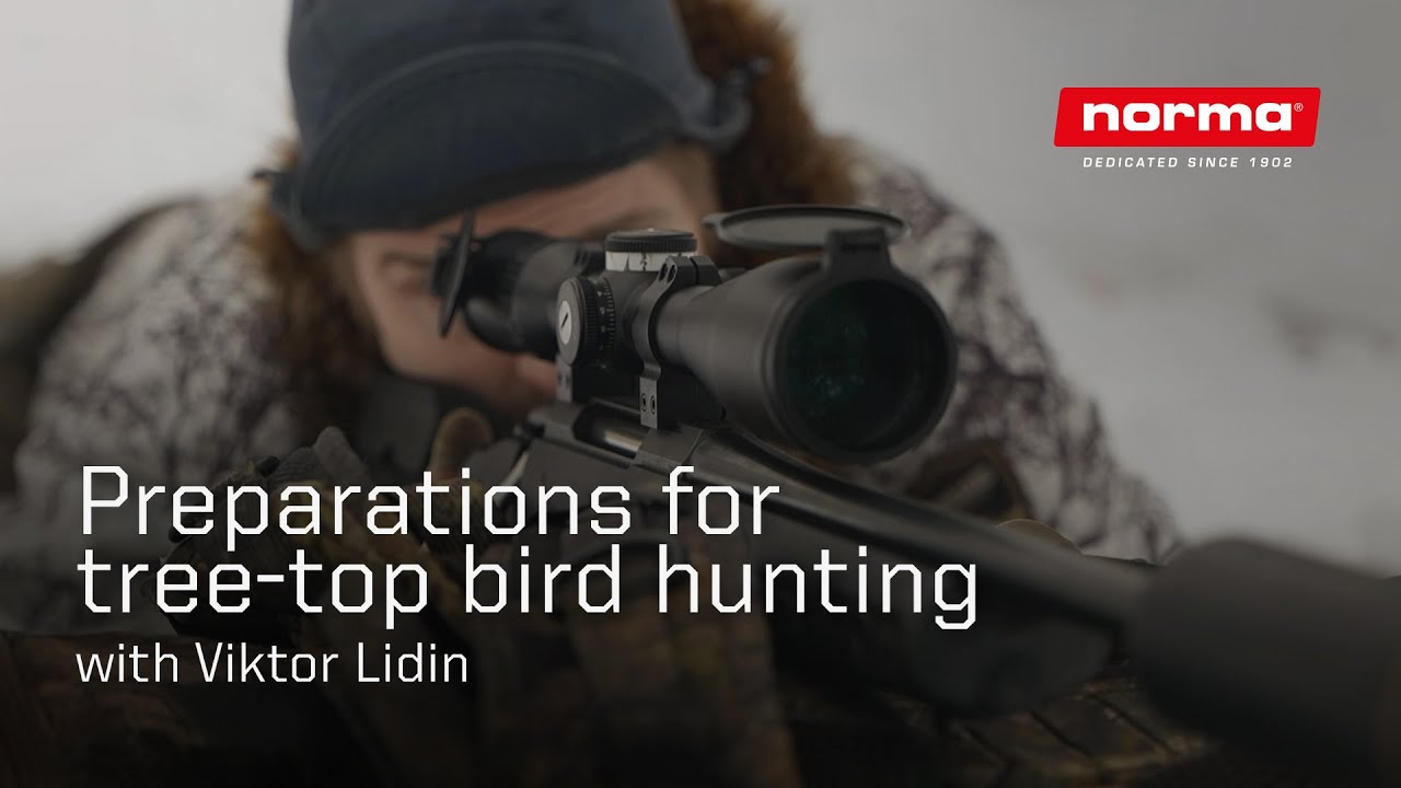 Preperations for tree-top bird hunting | Svenska