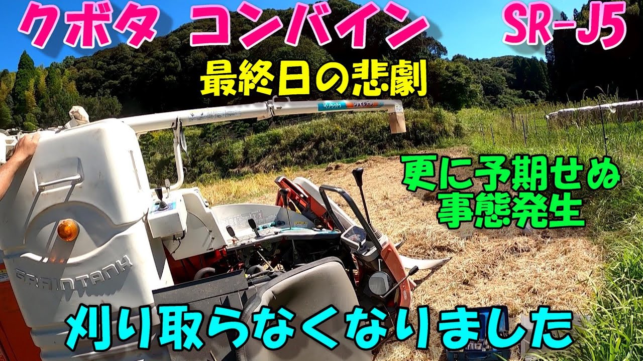 急に刈り取りしなくなりました。あんな所が折れてた...どうしよう。。。更に悲劇は続きました。泣