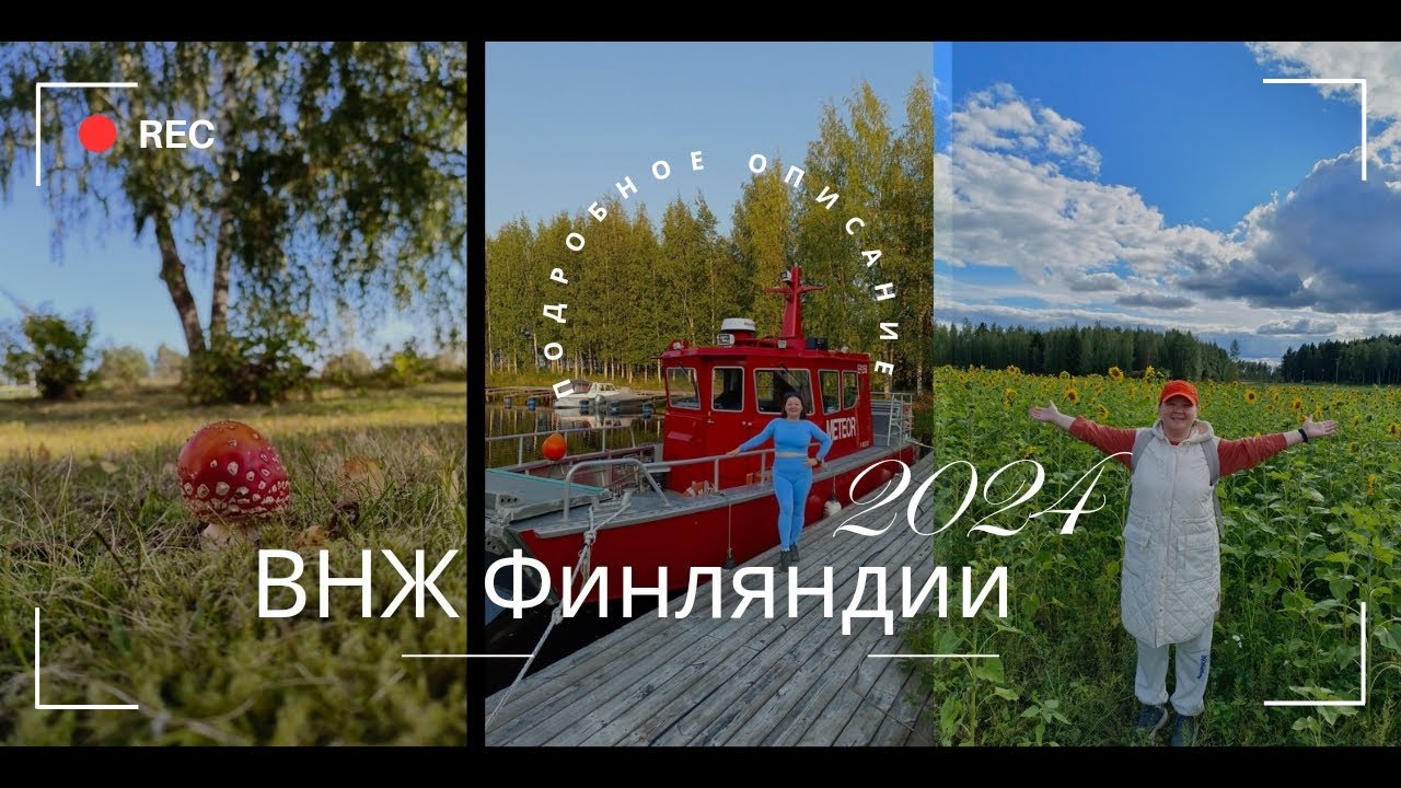 ВНЖ Финляндии. Стоимость оформления. Студенты. Переезд из Казахстана. Июнь 2024