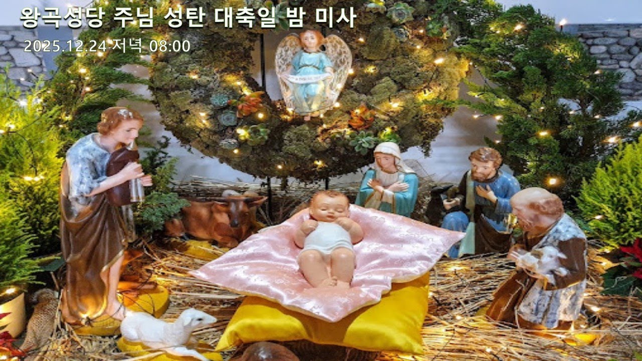 #왕곡성당 주님 성탄 대축일 밤 미사